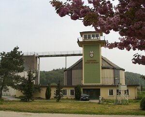 Ausfaulung